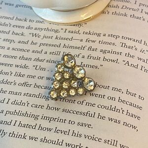 Silver Grape Crystal Brooch